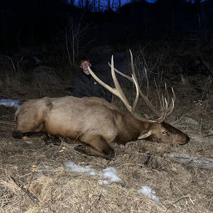 Meet your Posher, Cole